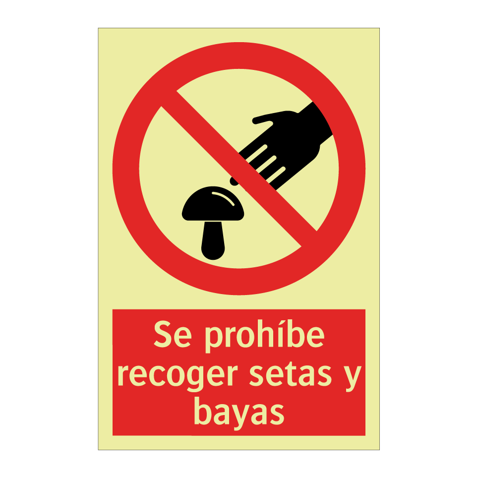 Se prohíbe recoger setas y bayas