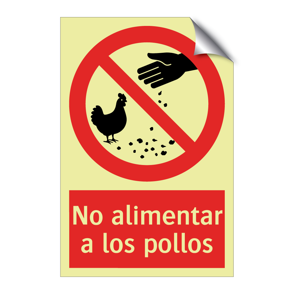 No alimentar a los pollos