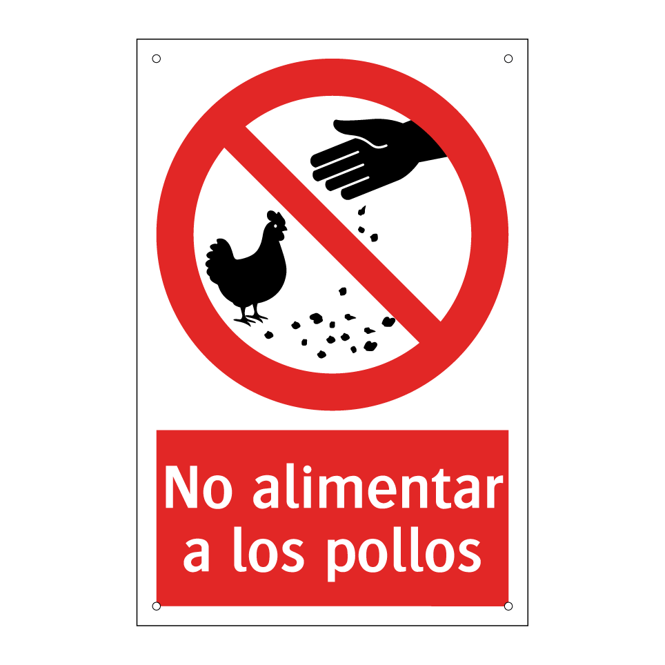 No alimentar a los pollos