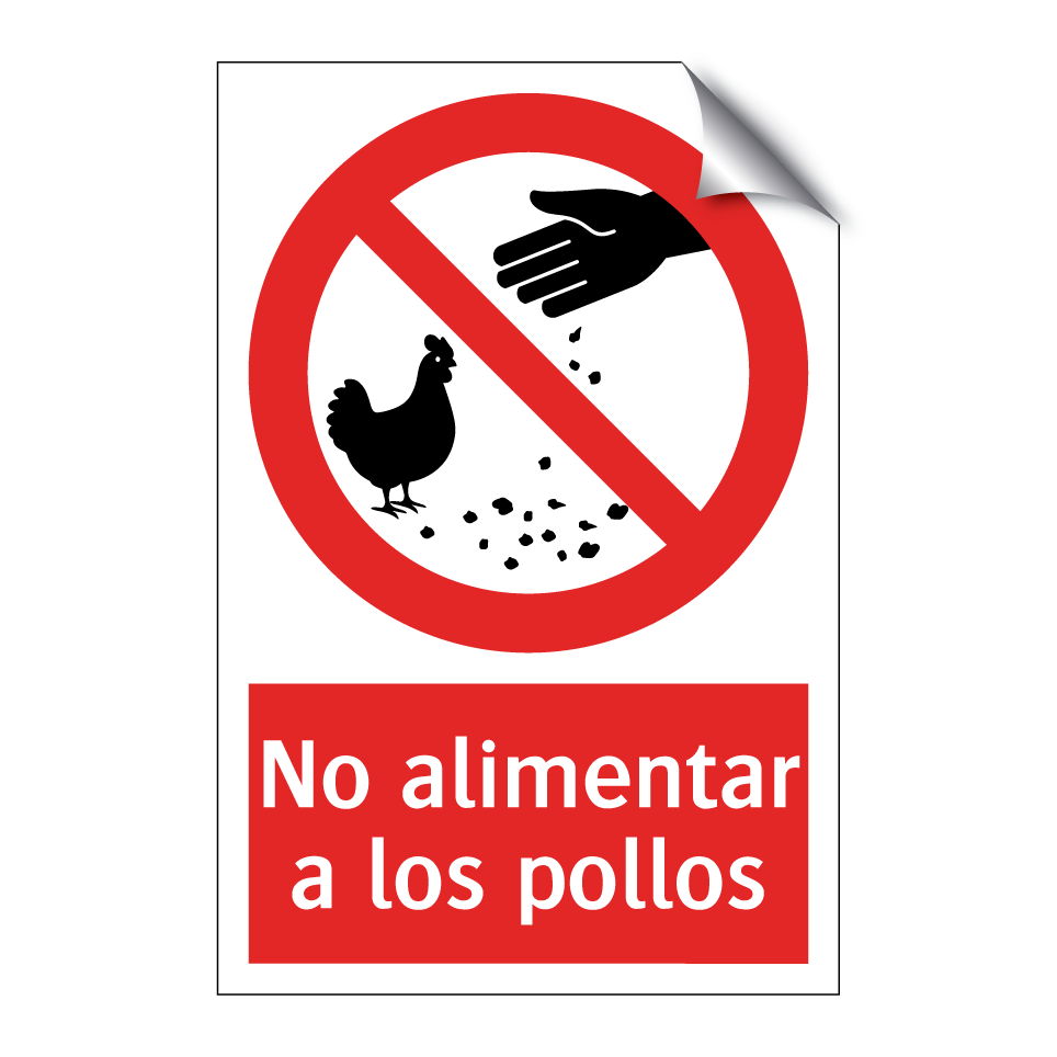 No alimentar a los pollos