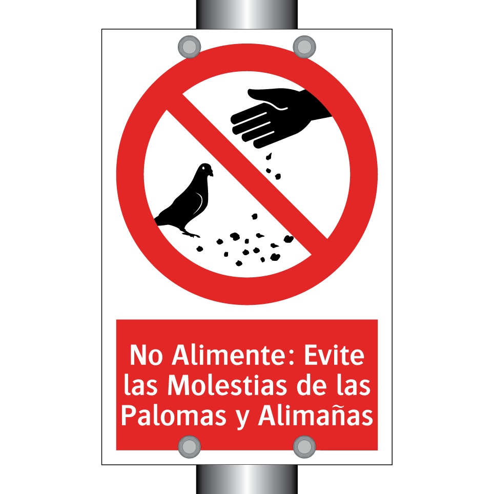 No Alimente: Evite las Molestias de las Palomas y Alimañas