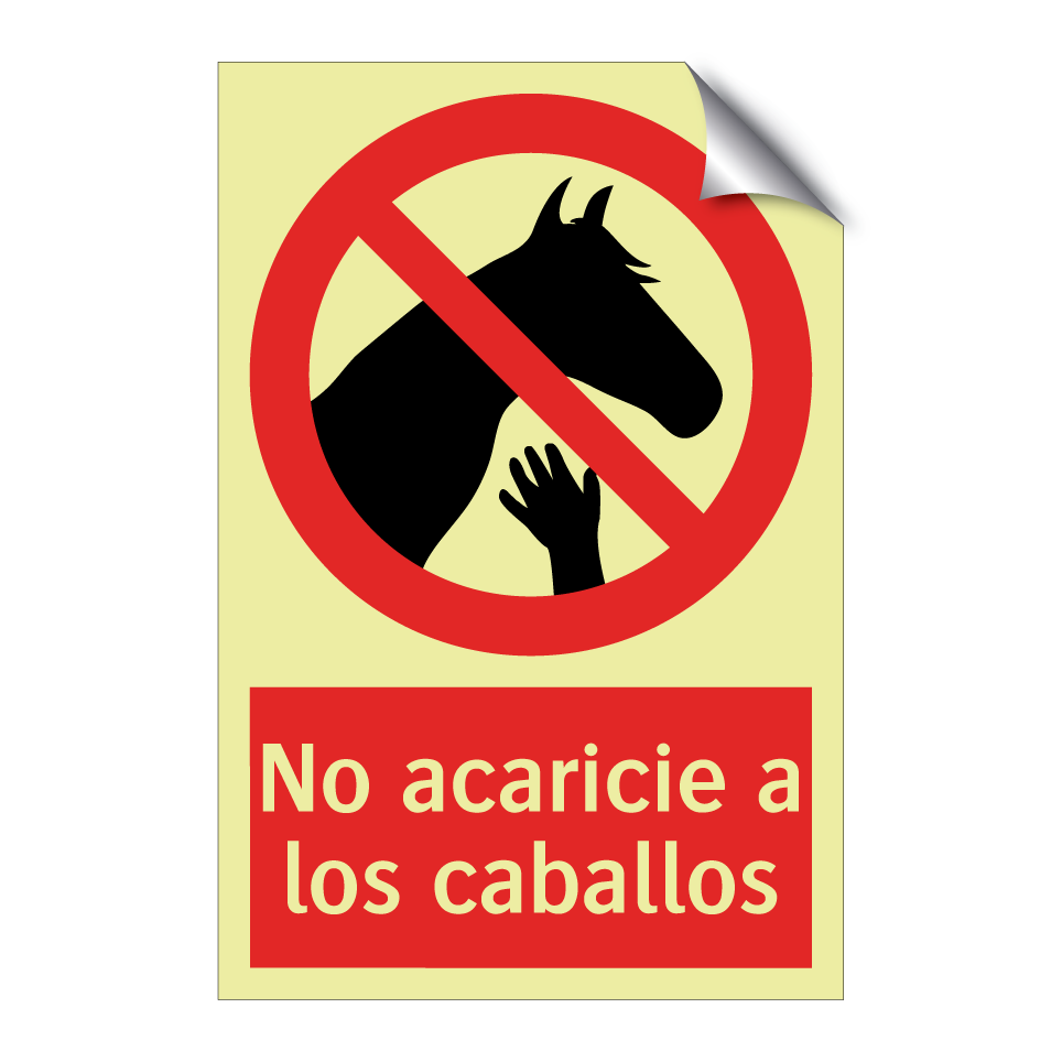 No acaricie a los caballos