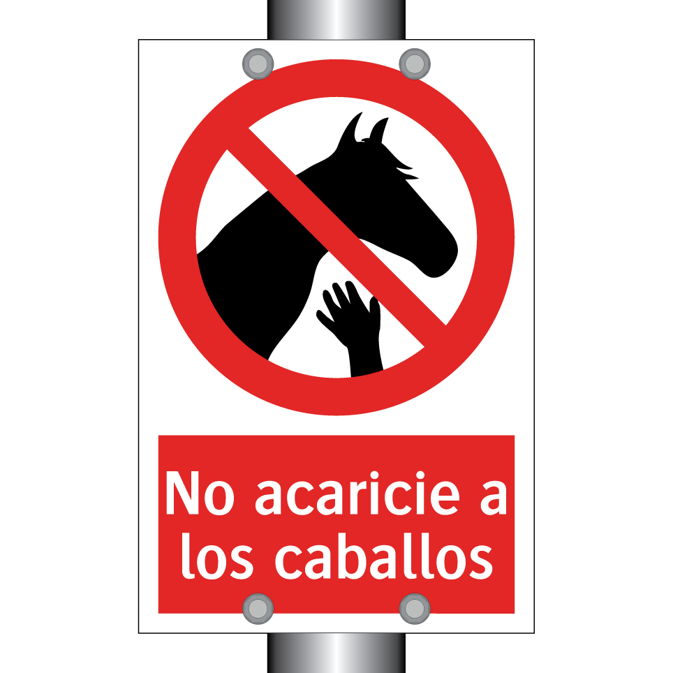 No acaricie a los caballos