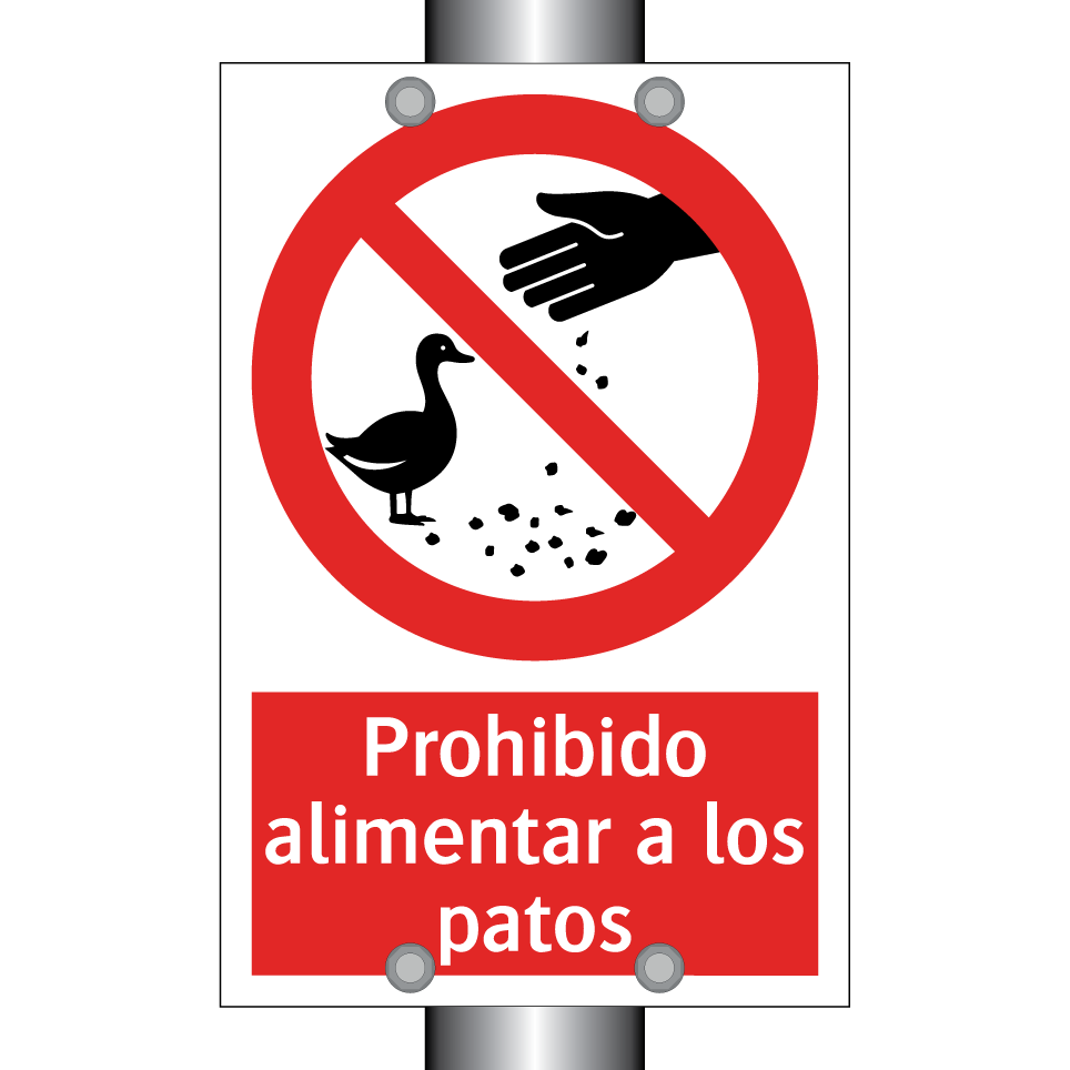 Prohibido alimentar a los patos