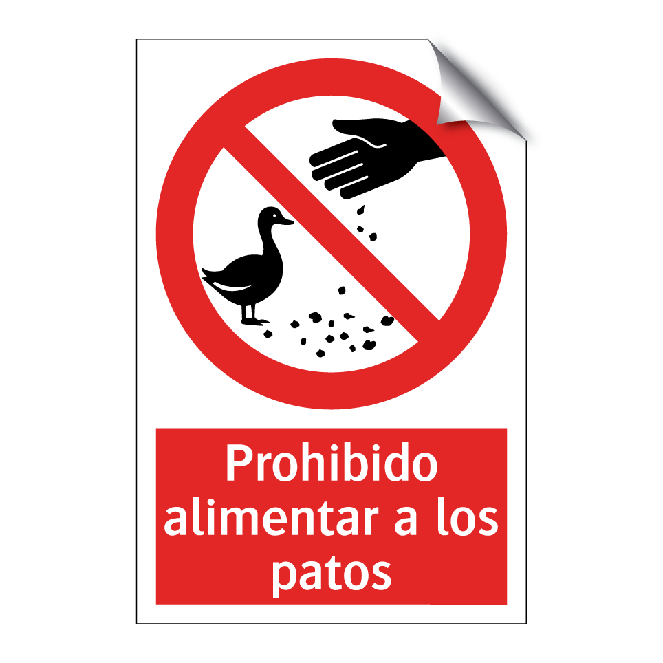 Prohibido alimentar a los patos