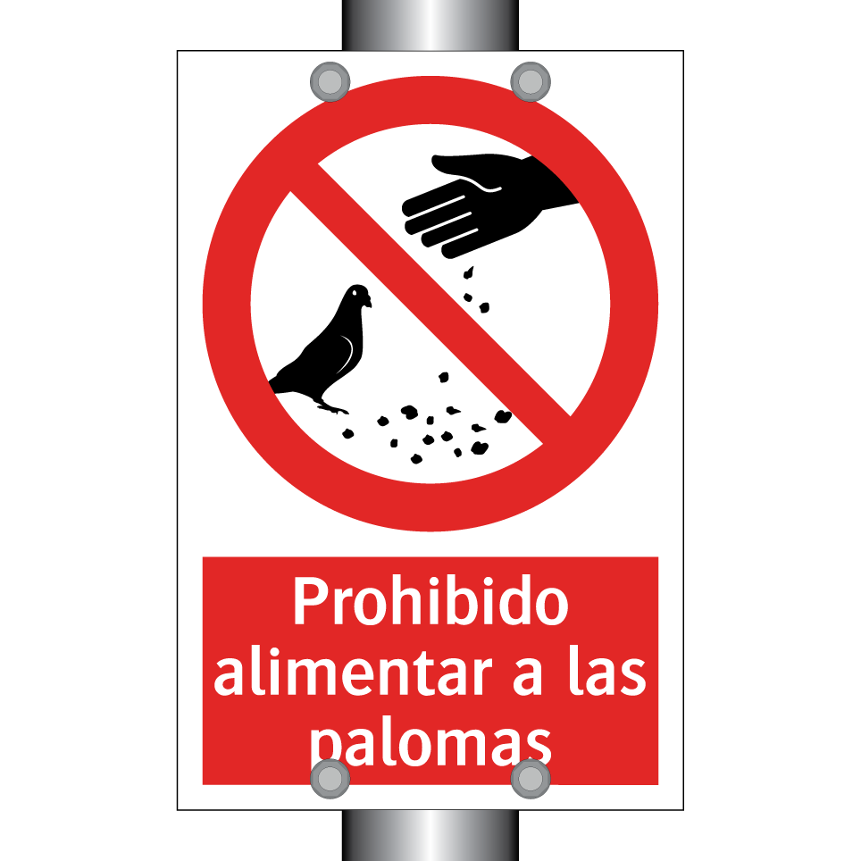 Prohibido alimentar a las palomas
