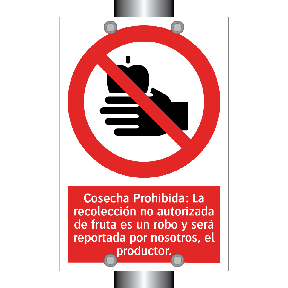 Cosecha Prohibida: La recolección no autorizada de fruta es un robo y será reportada por nosotros, el productor.