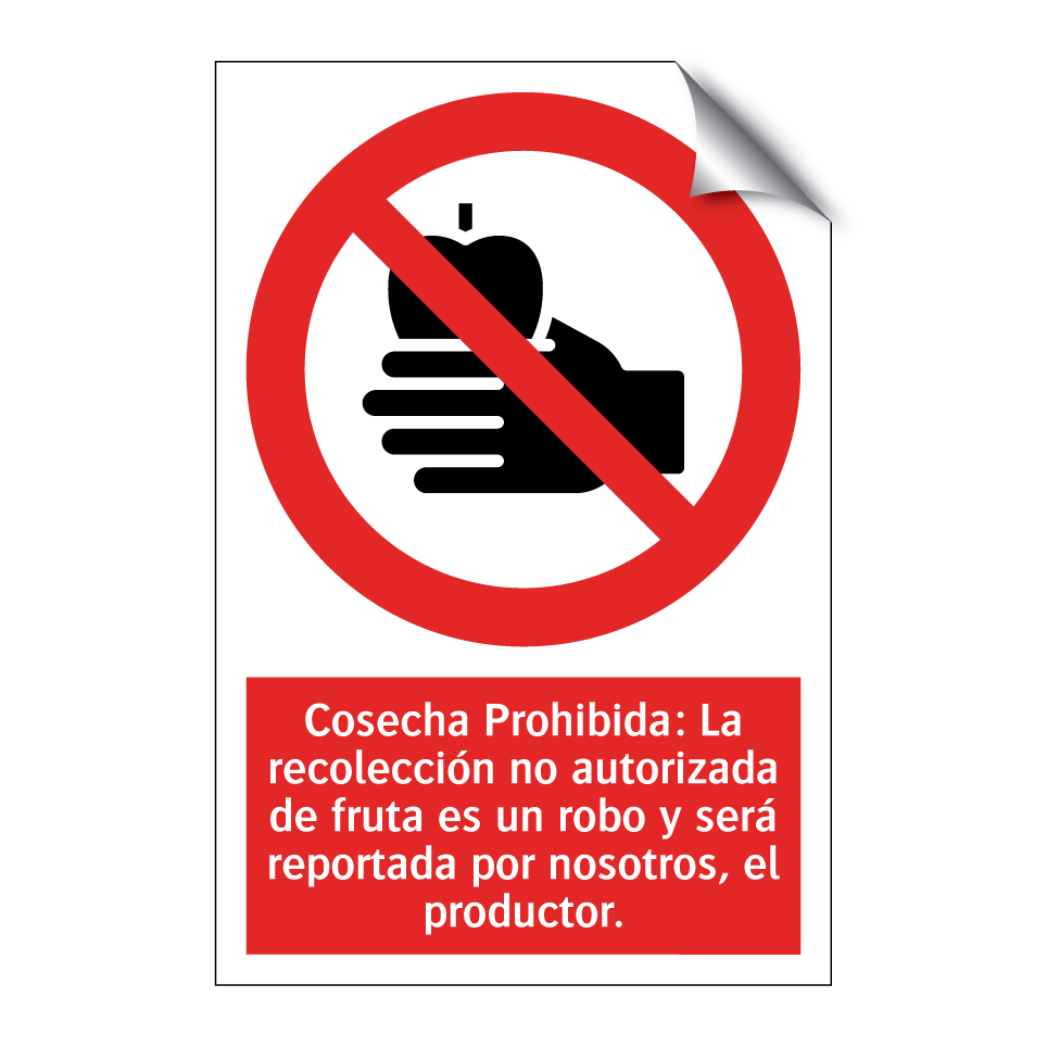 Cosecha Prohibida: La recolección no autorizada de fruta es un robo y será reportada por nosotros, el productor.