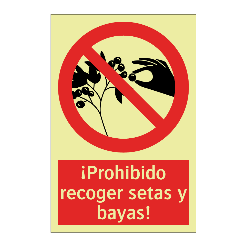 ¡Prohibido recoger setas y bayas!