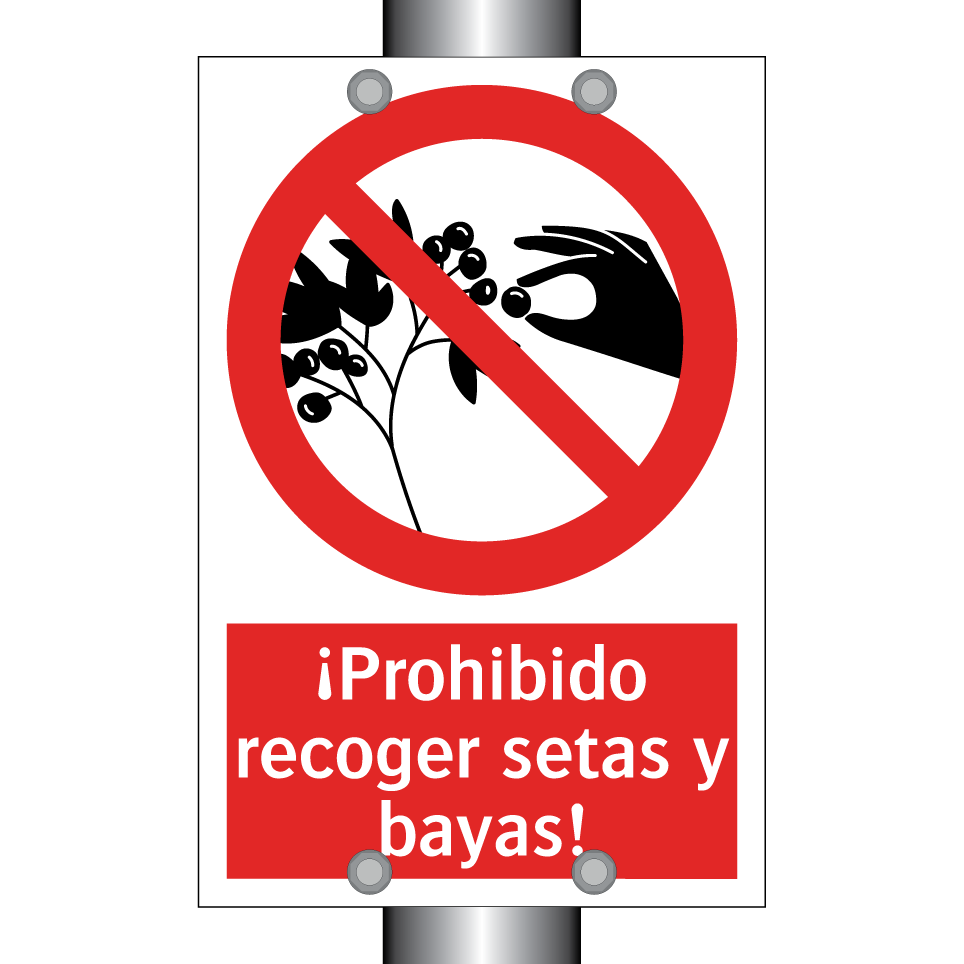 ¡Prohibido recoger setas y bayas!