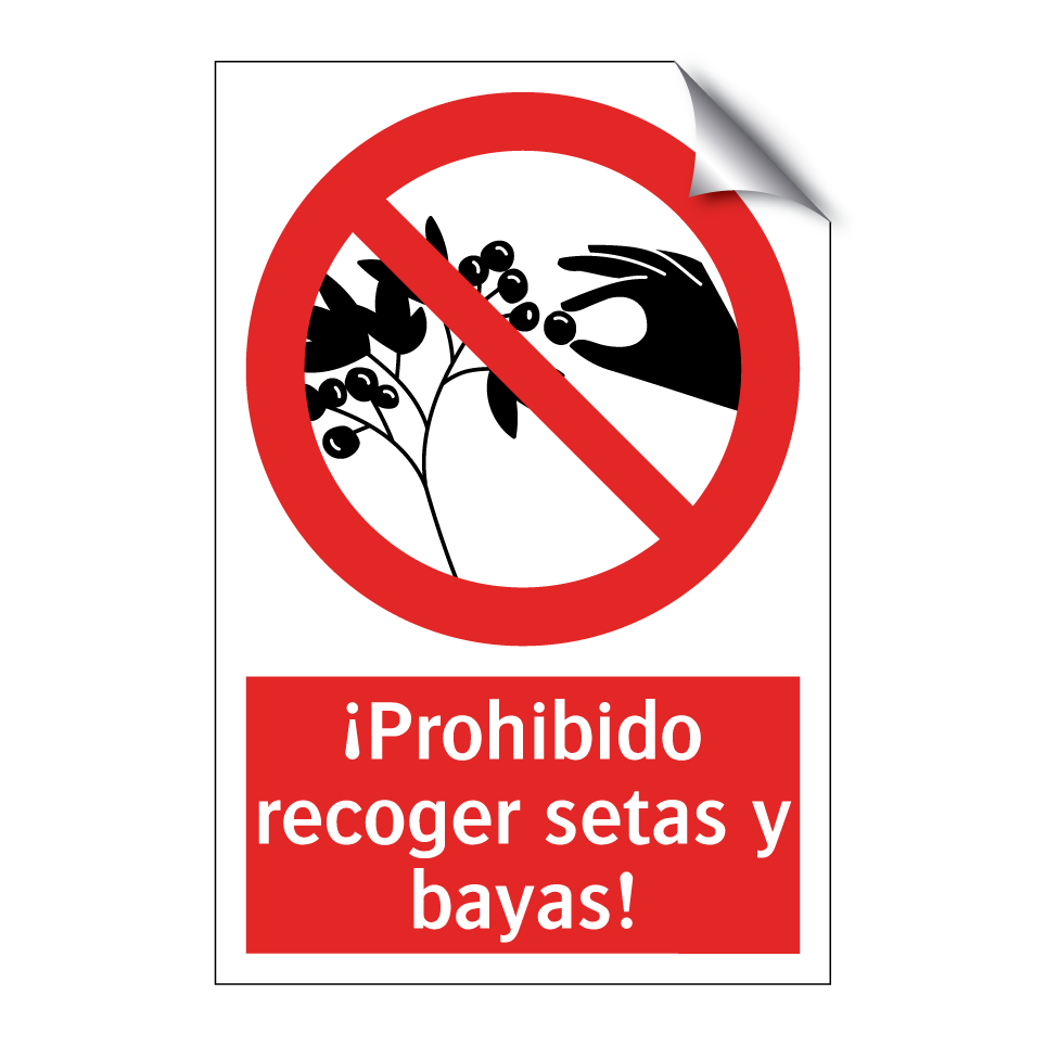 ¡Prohibido recoger setas y bayas!