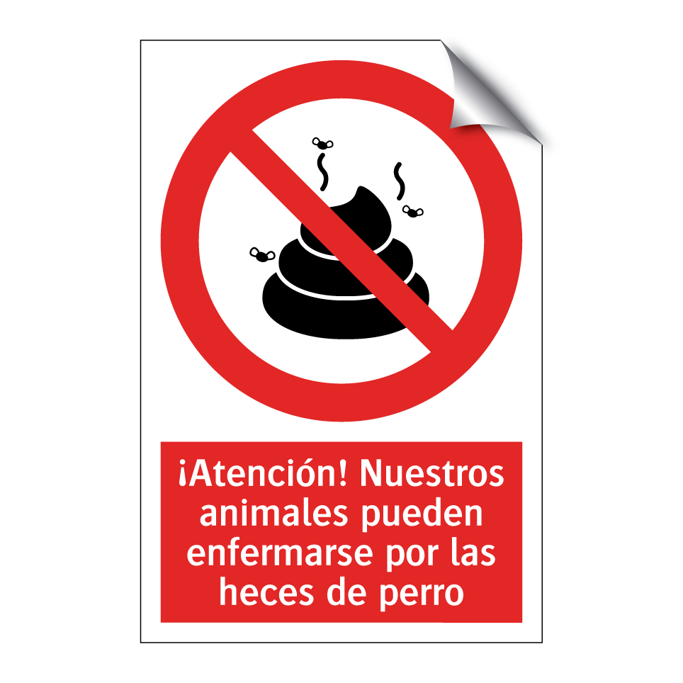 ¡Atención! Nuestros animales pueden enfermarse por las heces de perro