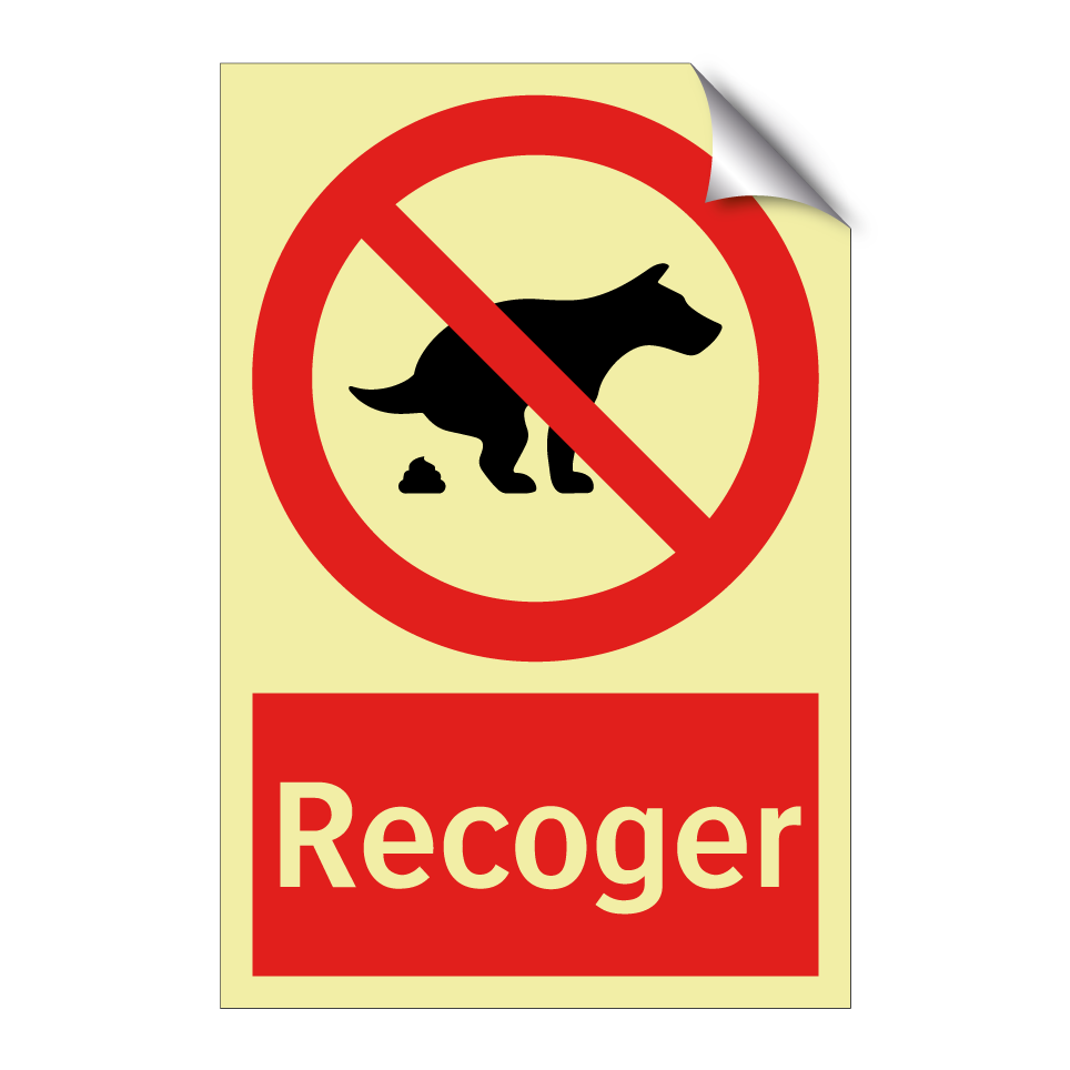 Recoger