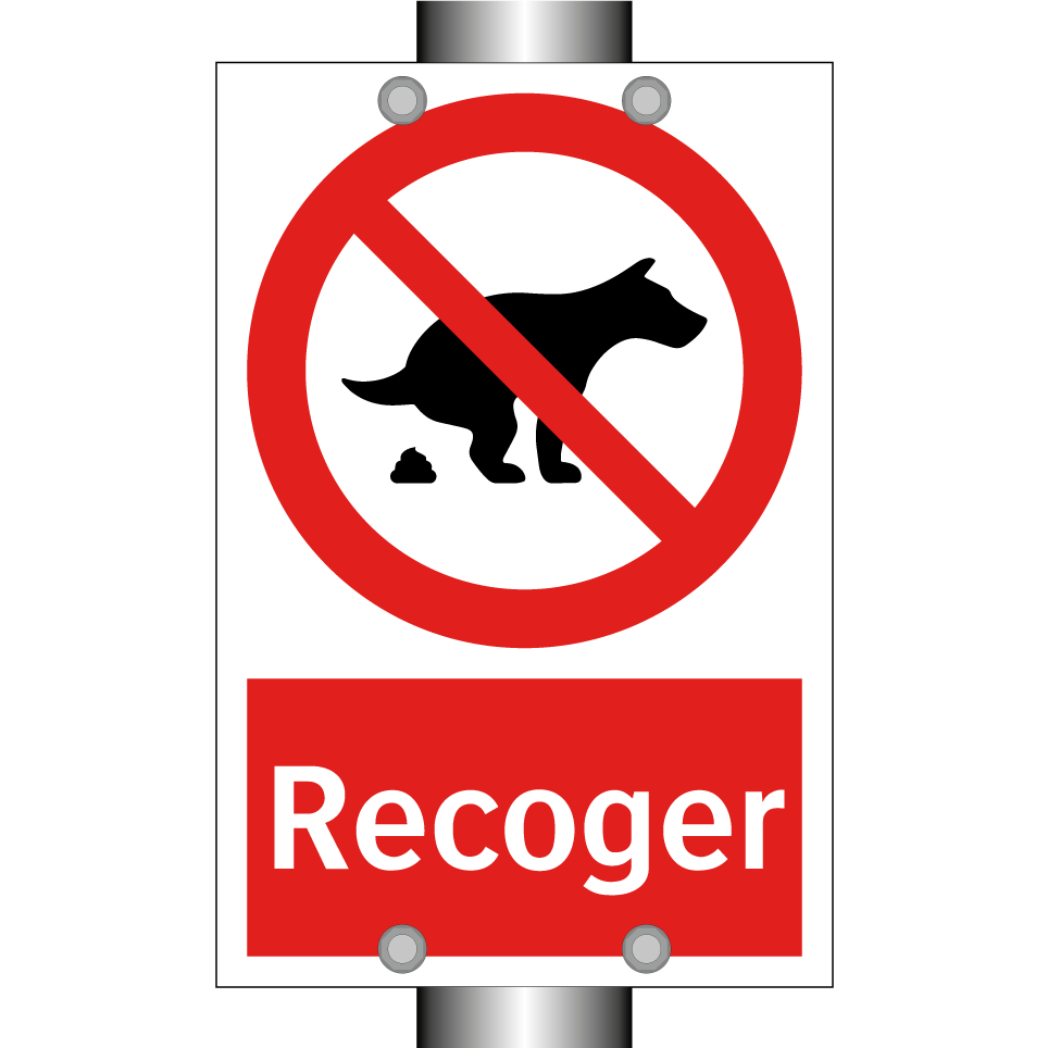 Recoger