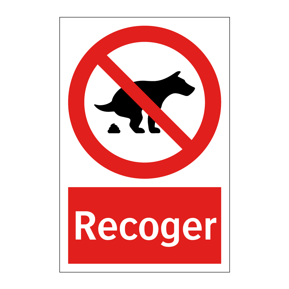 Recoger