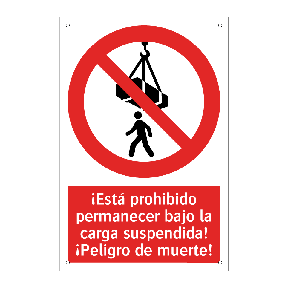 ¡Está prohibido permanecer bajo la carga suspendida! ¡Peligro de muerte!