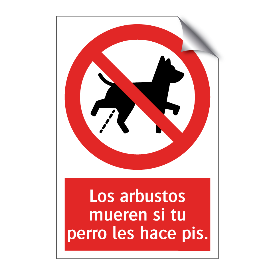 Los arbustos mueren si tu perro les hace pis.