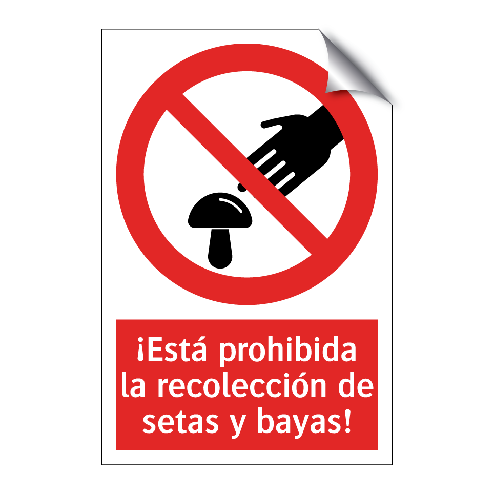 ¡Está prohibida la recolección de setas y bayas!