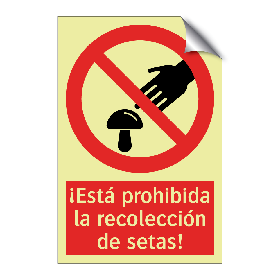 ¡Está prohibida la recolección de setas!