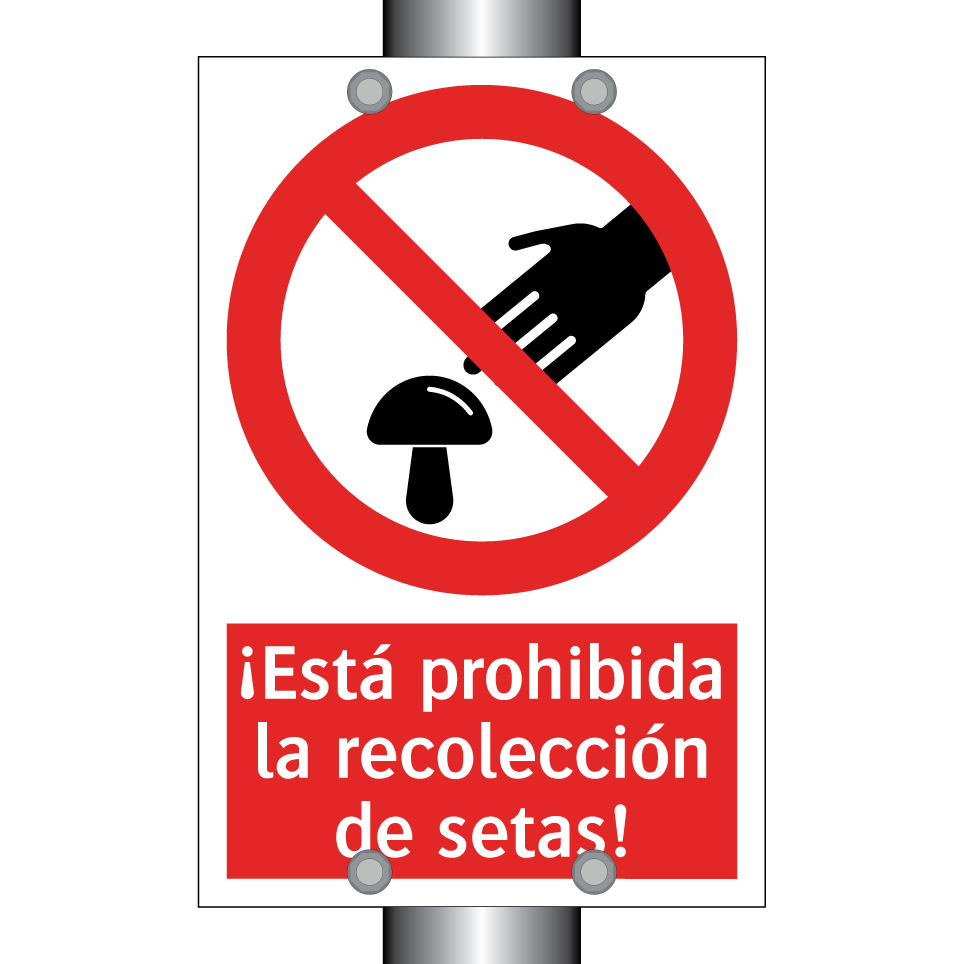 ¡Está prohibida la recolección de setas!