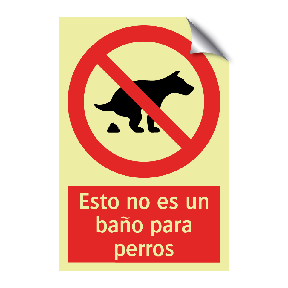 Esto no es un baño para perros