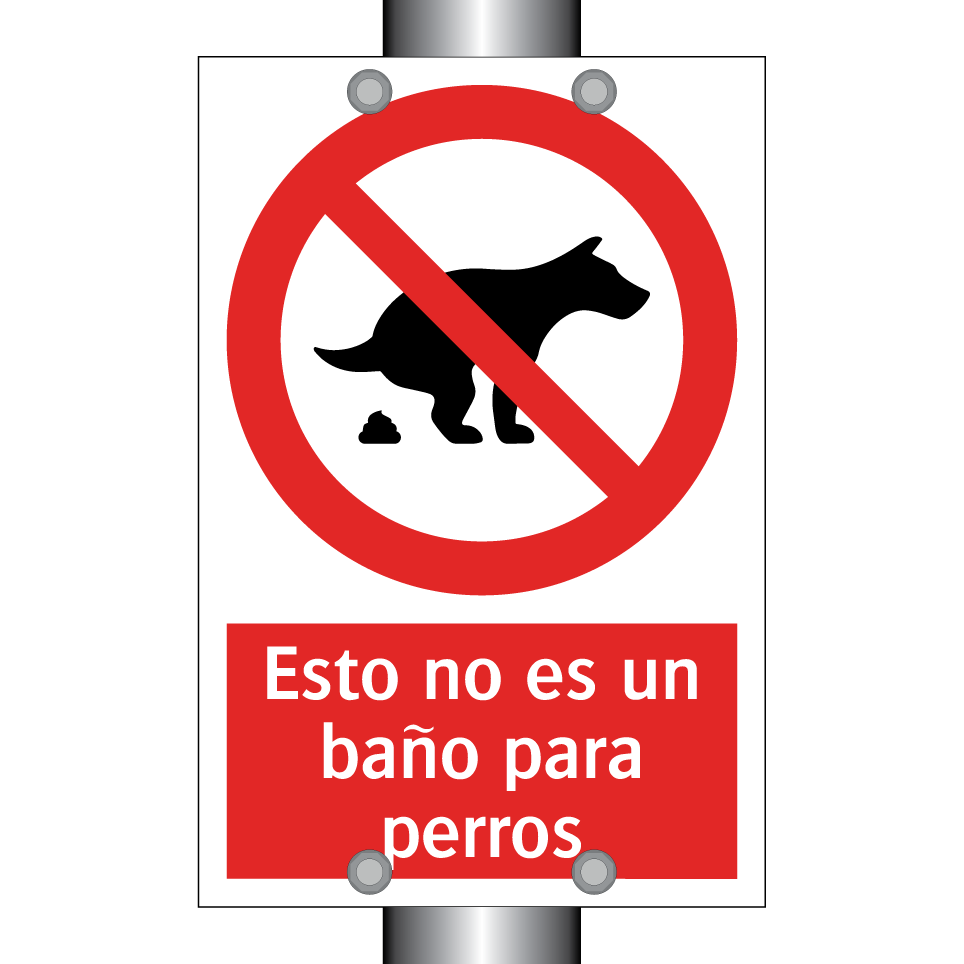 Esto no es un baño para perros
