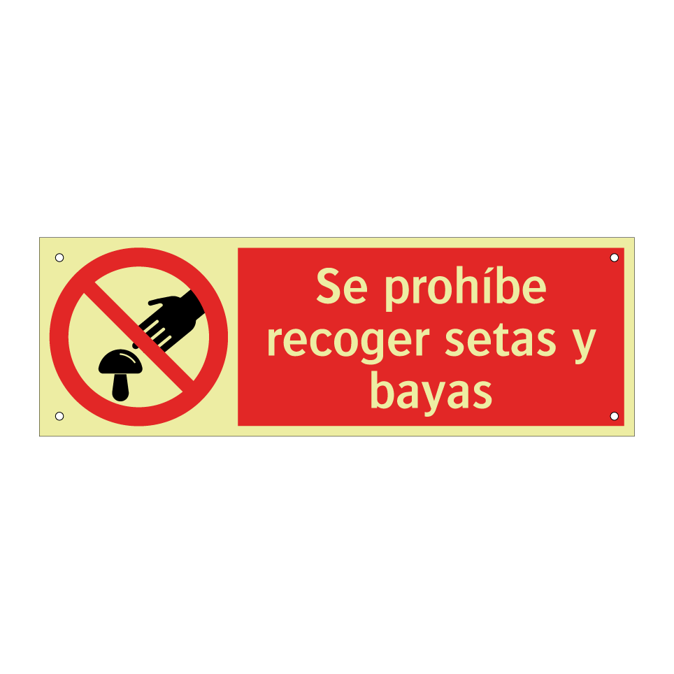 Se prohíbe recoger setas y bayas