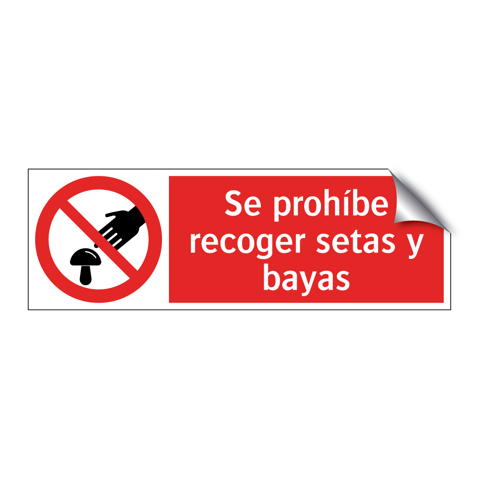 Se prohíbe recoger setas y bayas