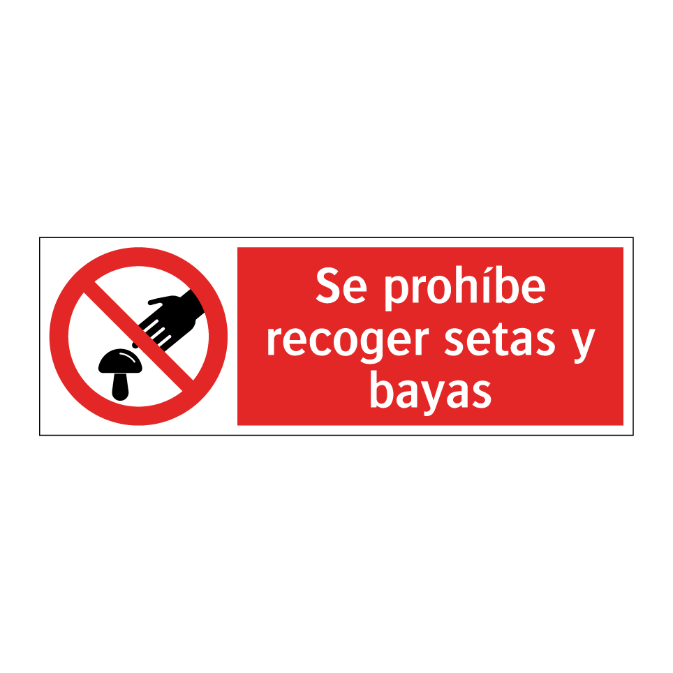 Se prohíbe recoger setas y bayas