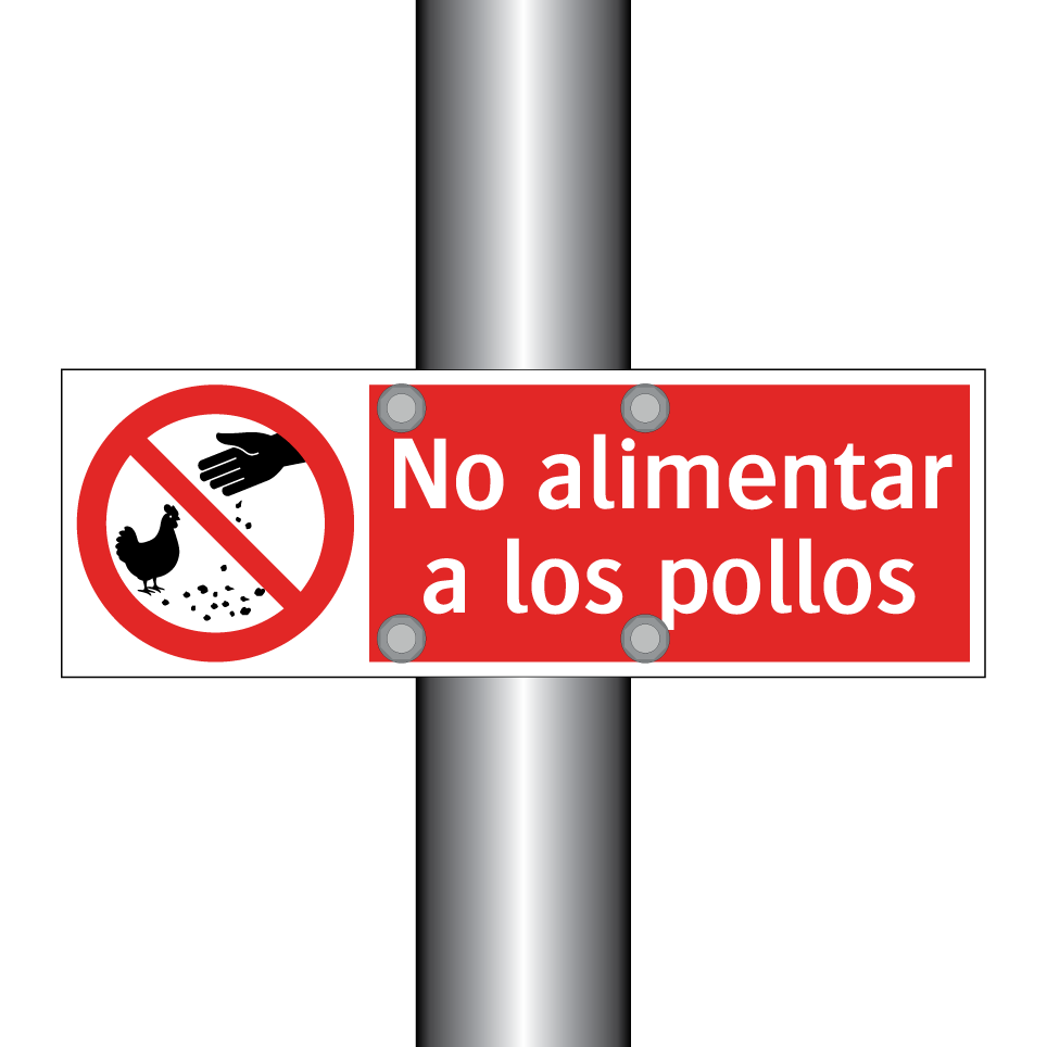 No alimentar a los pollos