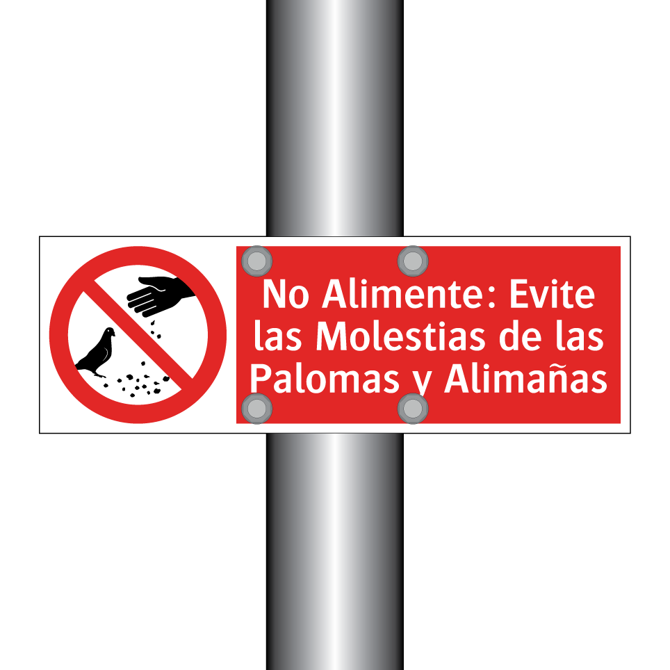 No Alimente: Evite las Molestias de las Palomas y Alimañas
