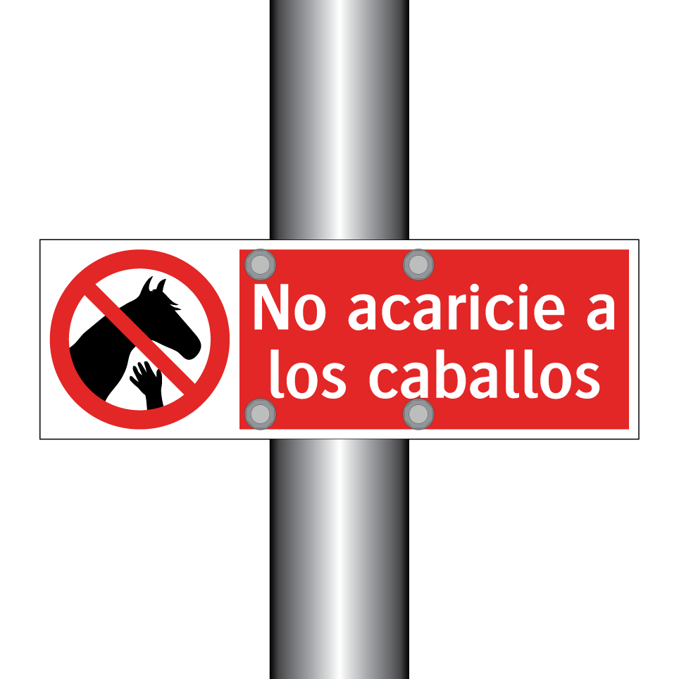 No acaricie a los caballos