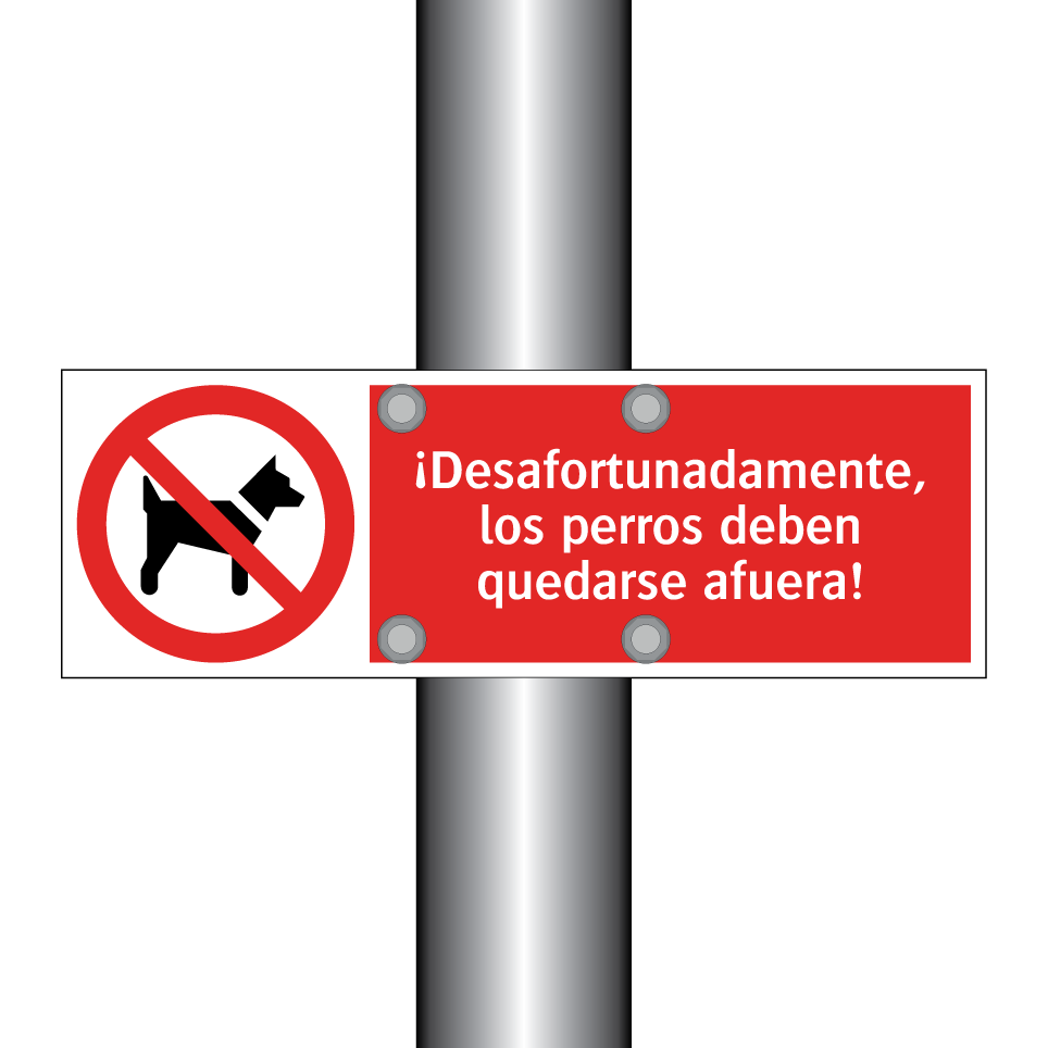 ¡Desafortunadamente, los perros deben quedarse afuera!