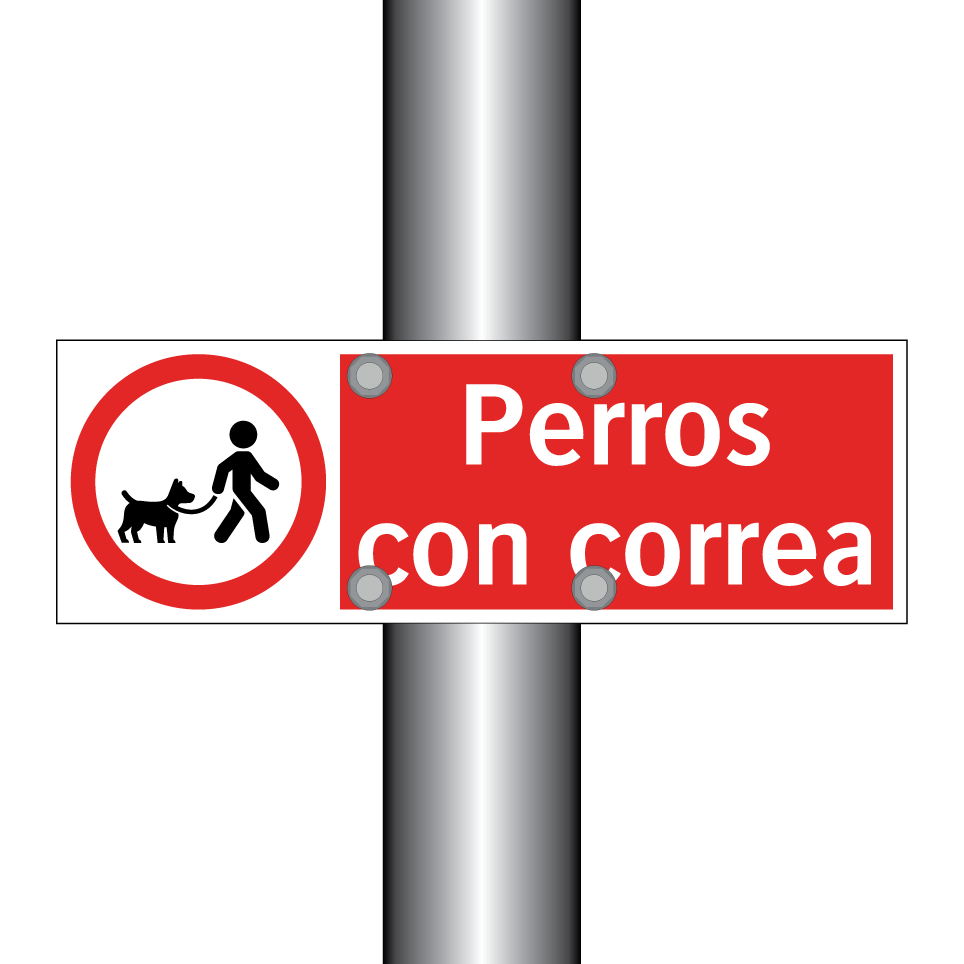 Perros con correa