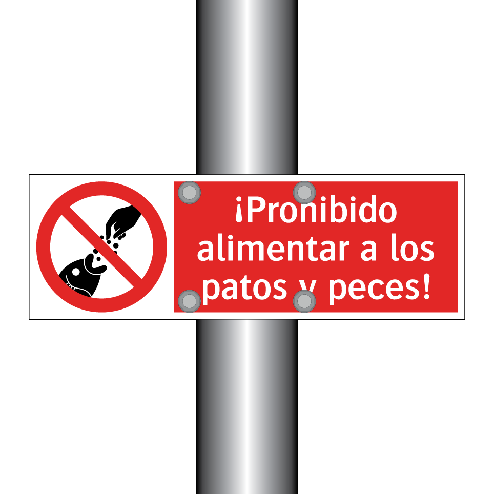 ¡Prohibido alimentar a los patos y peces!