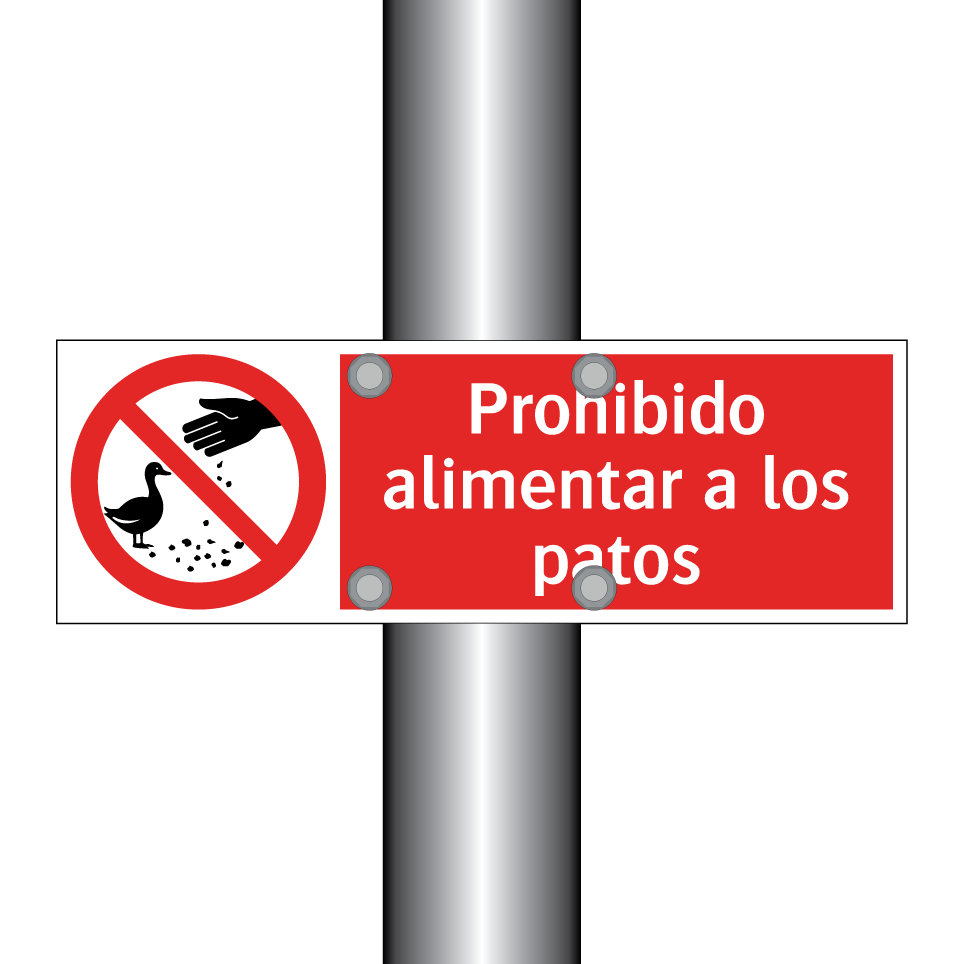 Prohibido alimentar a los patos
