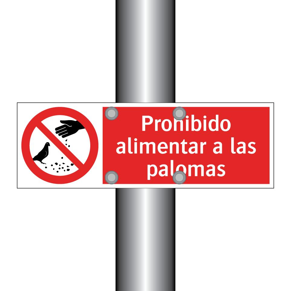 Prohibido alimentar a las palomas