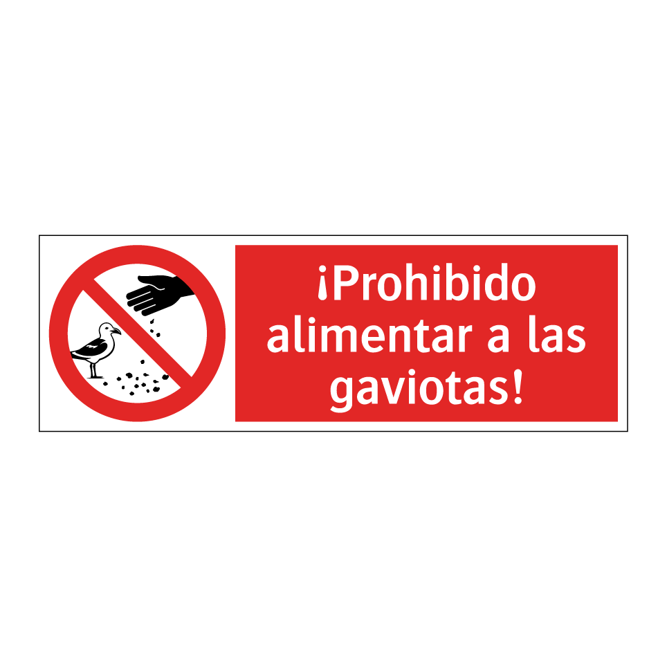 ¡Prohibido alimentar a las gaviotas!