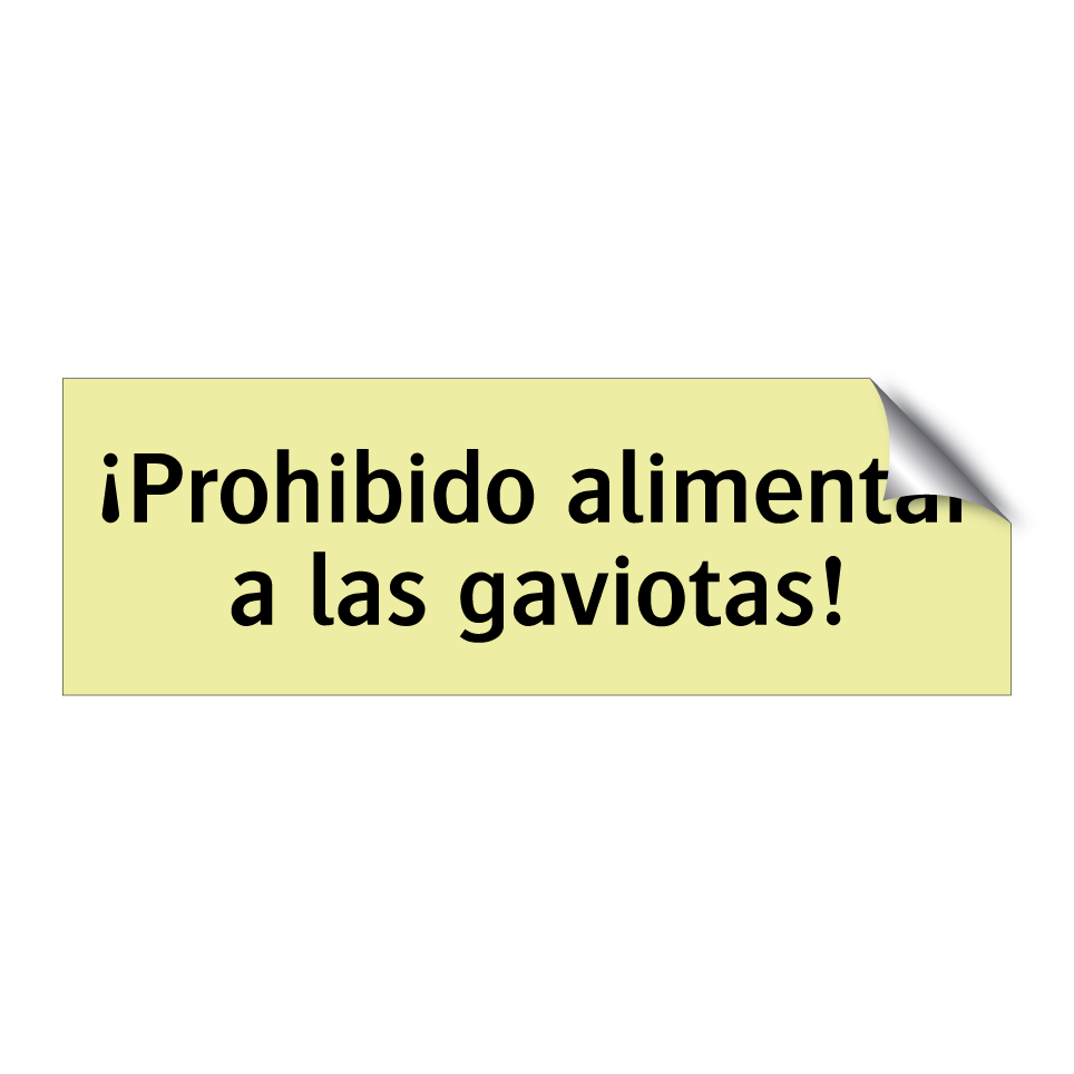 ¡Prohibido alimentar a las gaviotas!