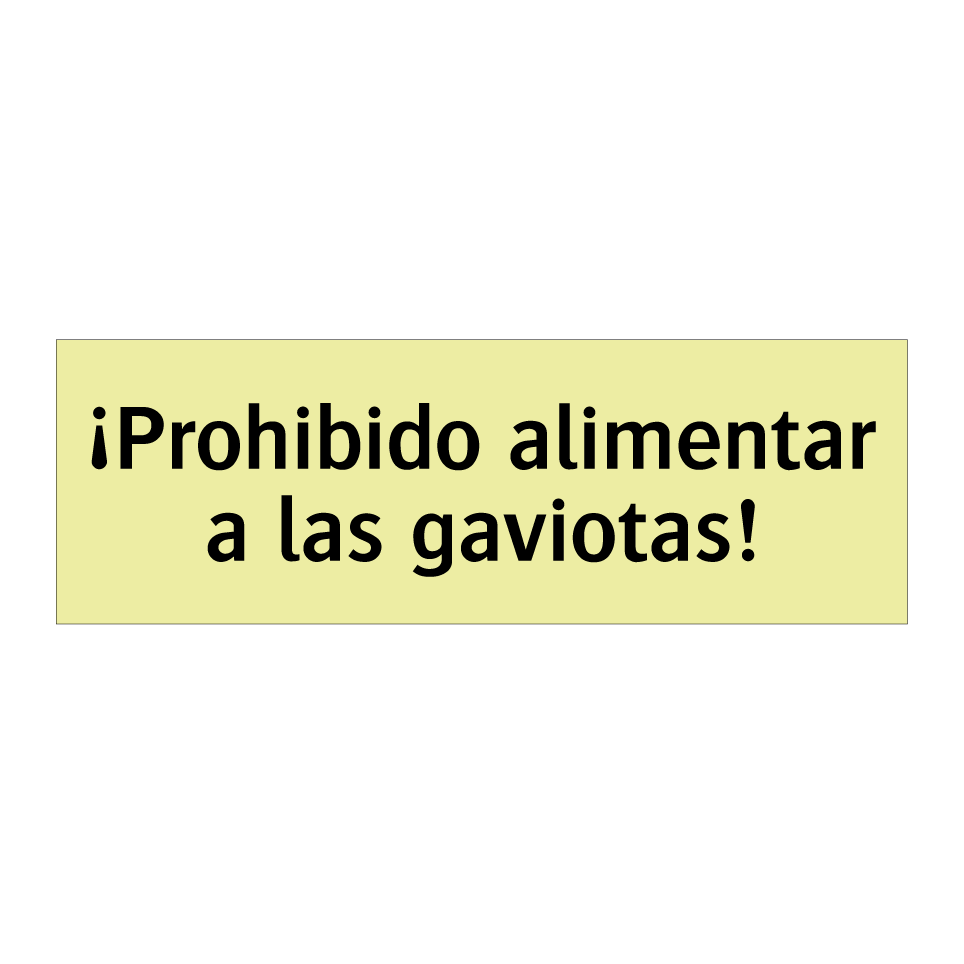 ¡Prohibido alimentar a las gaviotas!