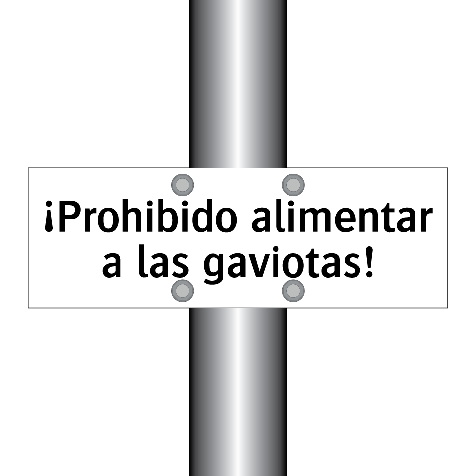 ¡Prohibido alimentar a las gaviotas!
