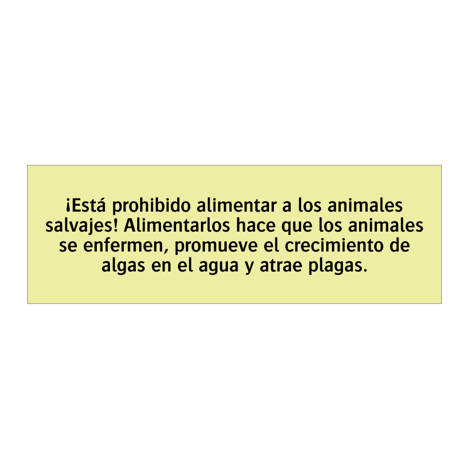¡Está prohibido alimentar a los animales salvajes! Alimentarlos hace que los animales se enfermen, promueve el crecimiento de algas en el agua y atrae plagas.