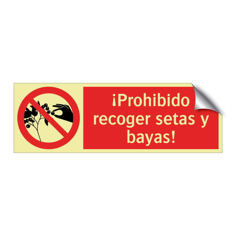 ¡Prohibido recoger setas y bayas!