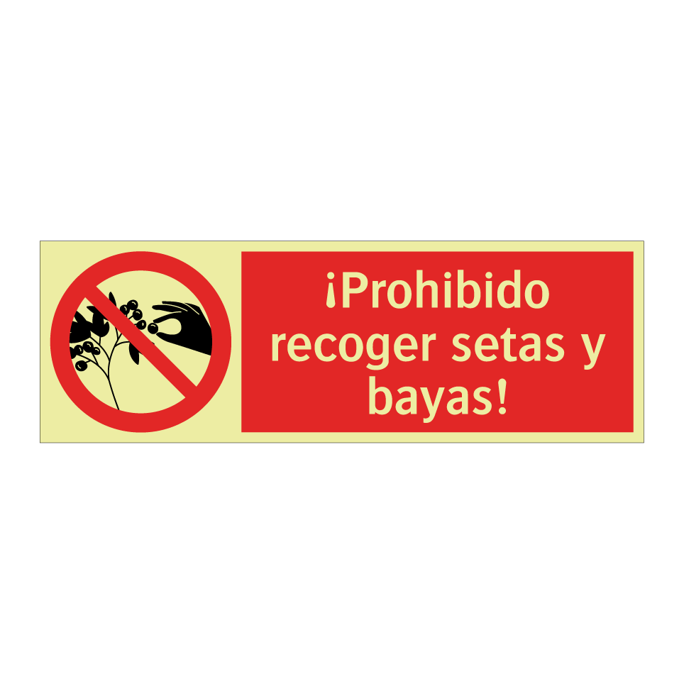 ¡Prohibido recoger setas y bayas!