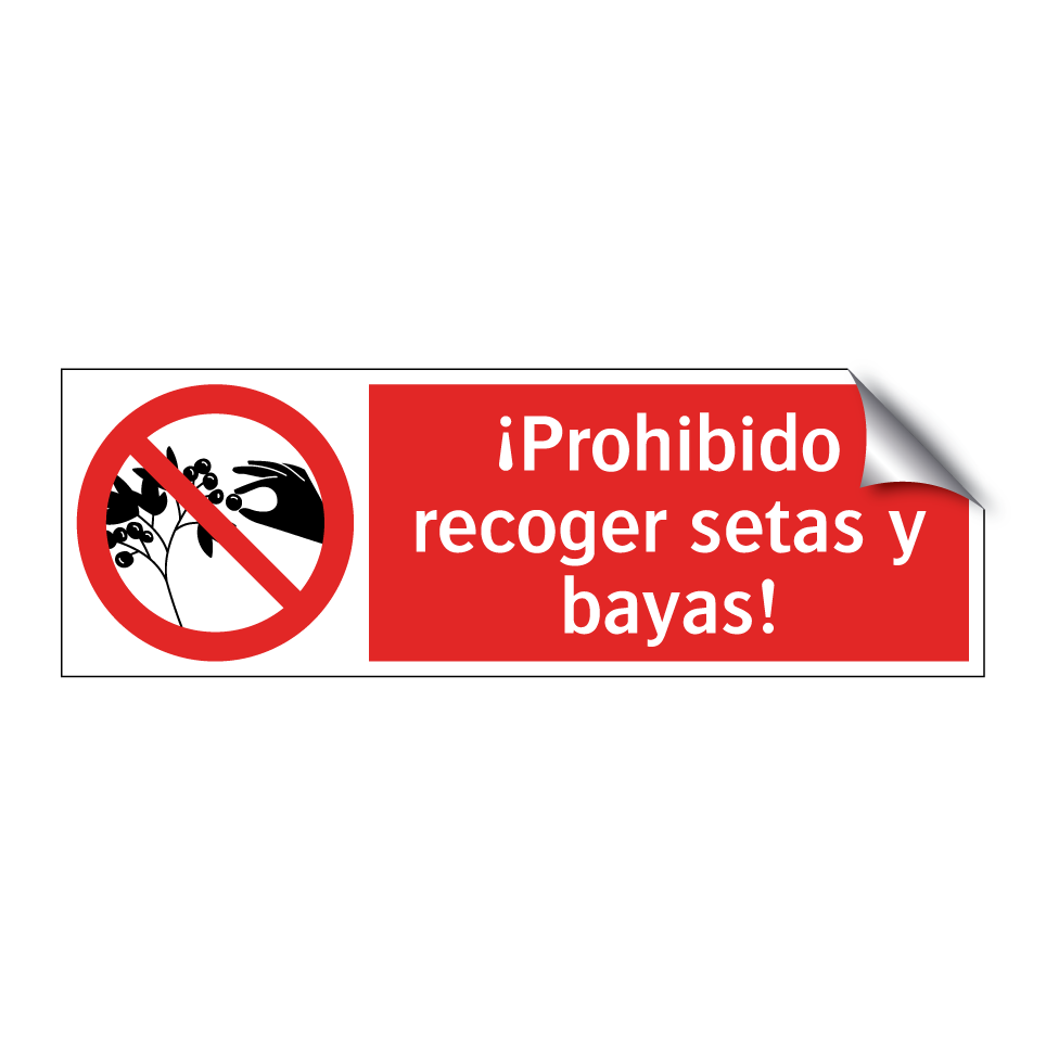 ¡Prohibido recoger setas y bayas!