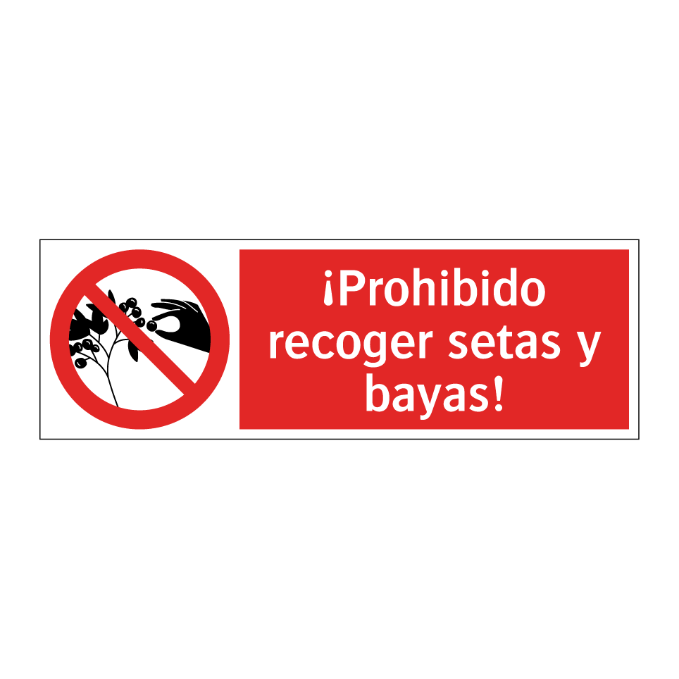 ¡Prohibido recoger setas y bayas!