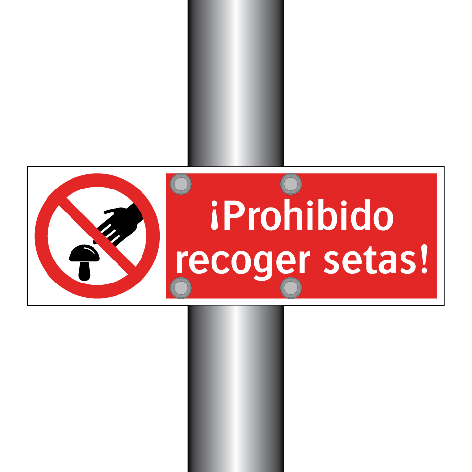 ¡Prohibido recoger setas!