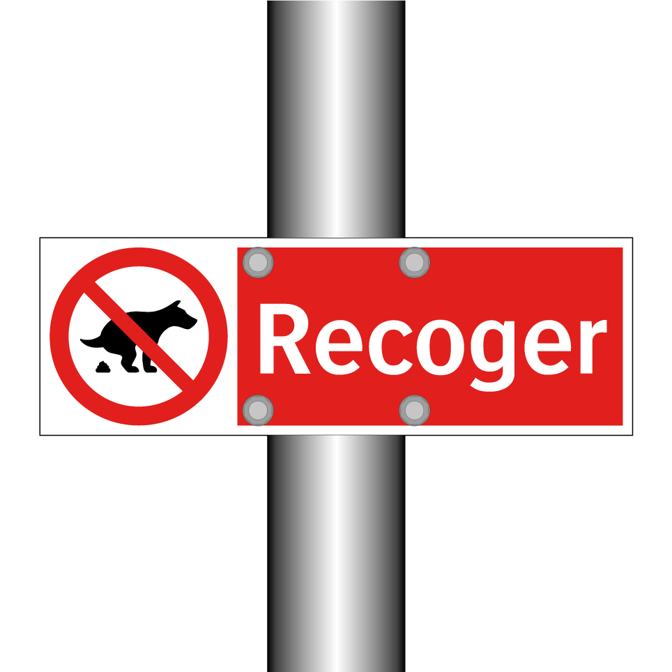 Recoger
