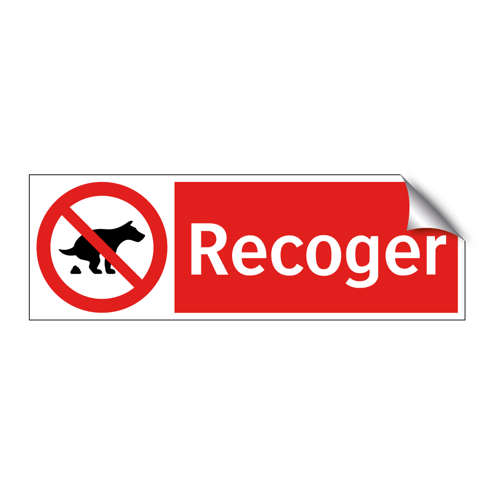 Recoger