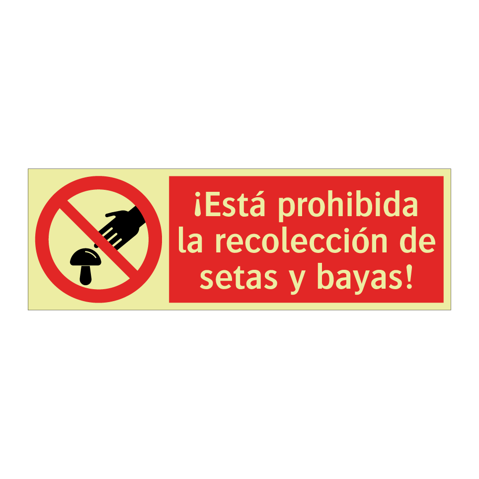 ¡Está prohibida la recolección de setas y bayas!